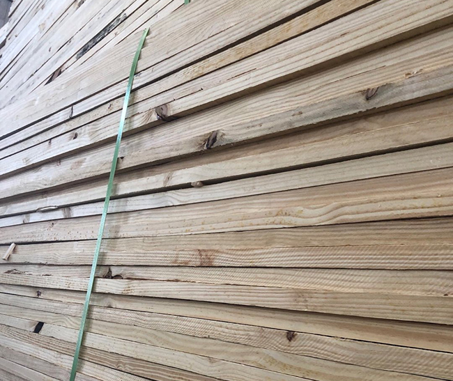 齐齐哈尔巴西松
